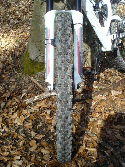 MaxxisSwampthing