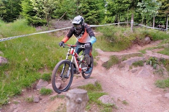 Wildbad DH 1