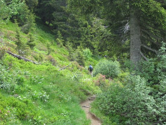 Tag3 02