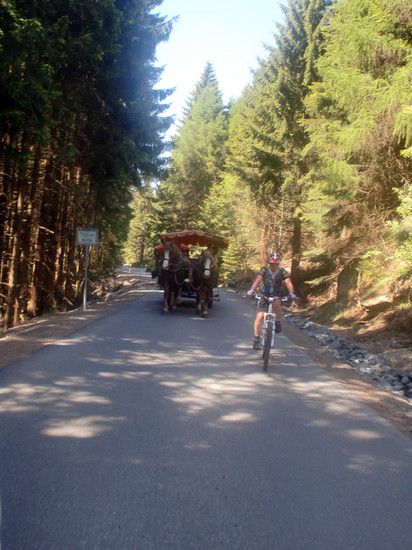 Brockenstraße