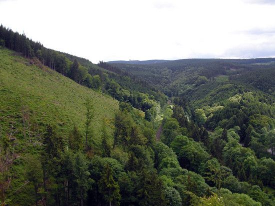 Schneekopf1