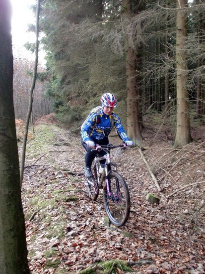 Wurzeltrail