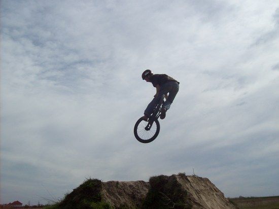 whip1
