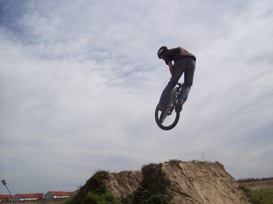 whip2