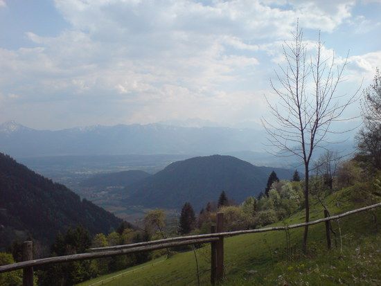DSC00220