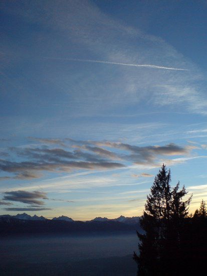 DSC00919