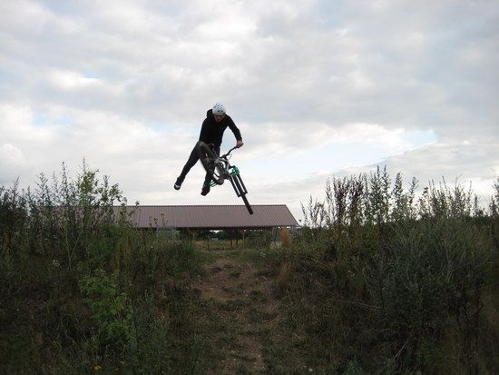 tailwhip