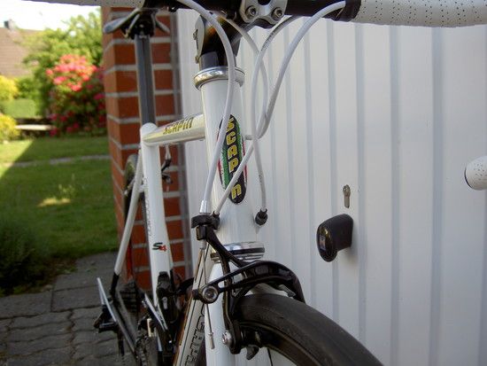 Scapin611007