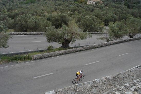 Soller2