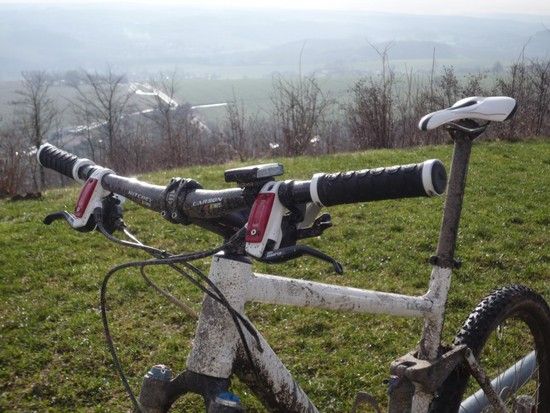 Ritchey WCS Carbon low Rizer