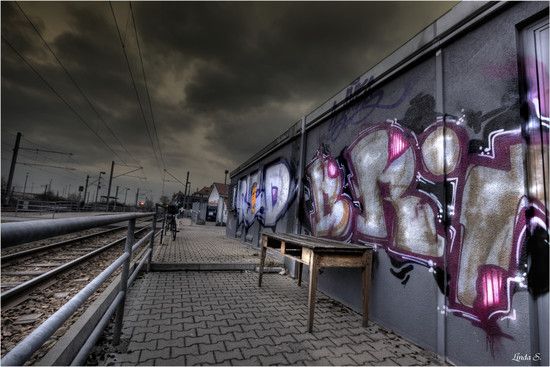 OEG