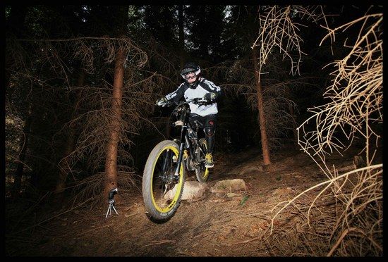comp IMG 9053 b