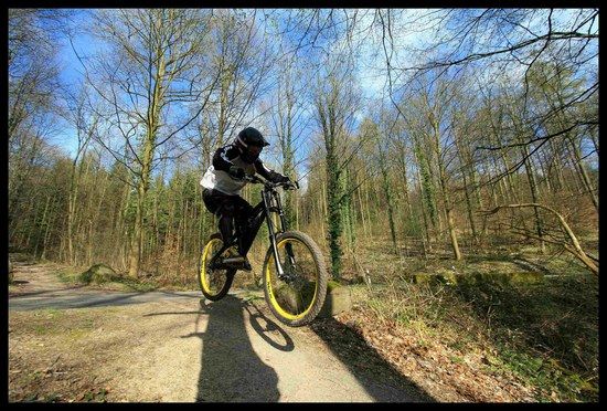 comp IMG 9149 b