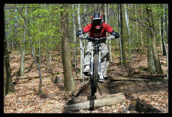 comp IMG 9974 b