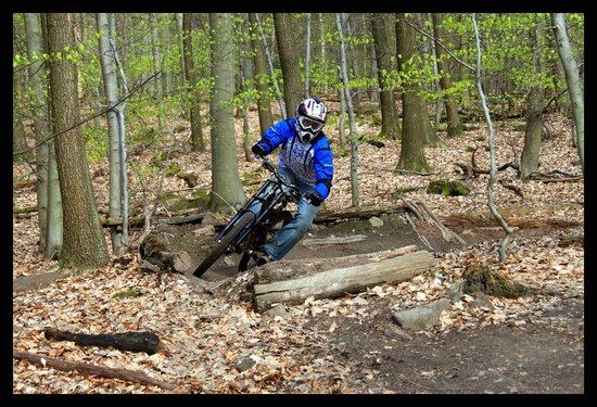 comp IMG 9981 b