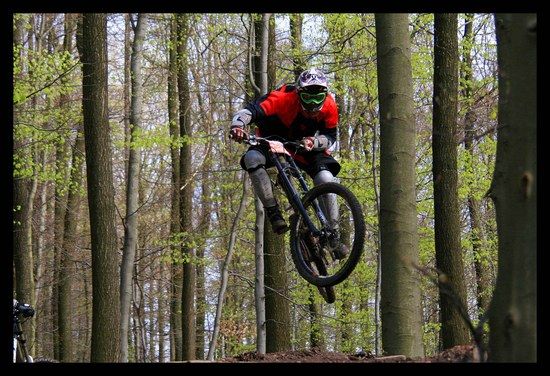 comp IMG 9995 b