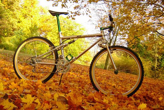 Herbstspaß mit dem AMP