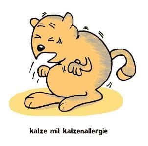 katzenwitz