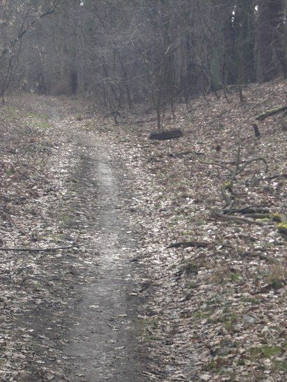 Biketour23.02.08001