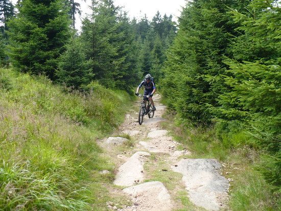 Brocken Juli 2008