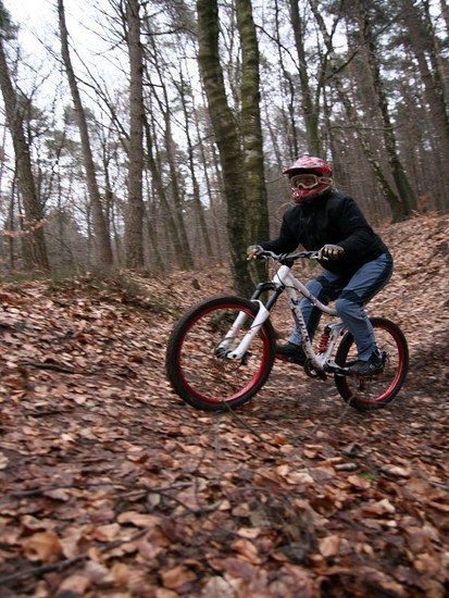 08.02.09 im Odenwald
