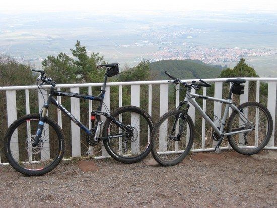 Bikes 4
