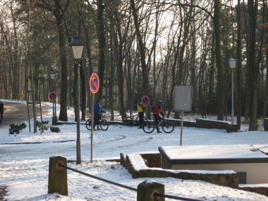 Snow-Ride 1