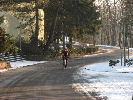 Snow-Ride 2