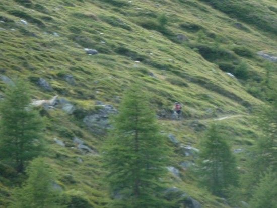 Zermatt 2011 52