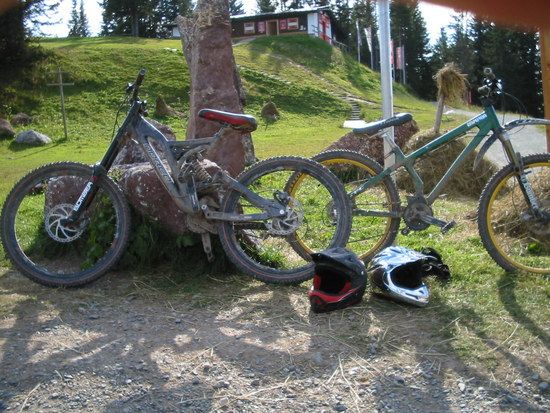 Bügeleisen/Eisenbügel