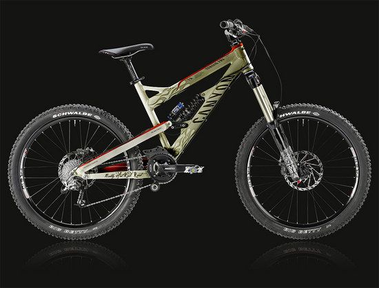 beige flames bike