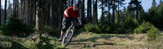 IMG 12851