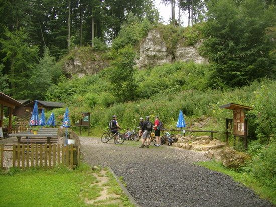 IMG 0240