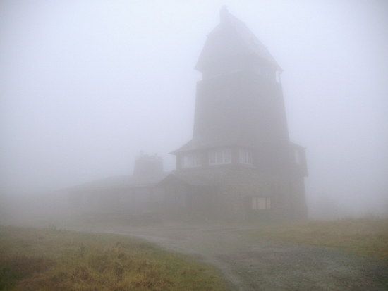 IMG 1739 1226765393