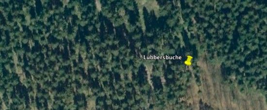 Luebbersbucge
