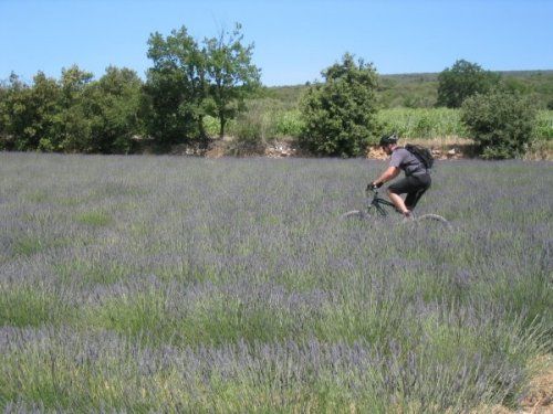 Provence