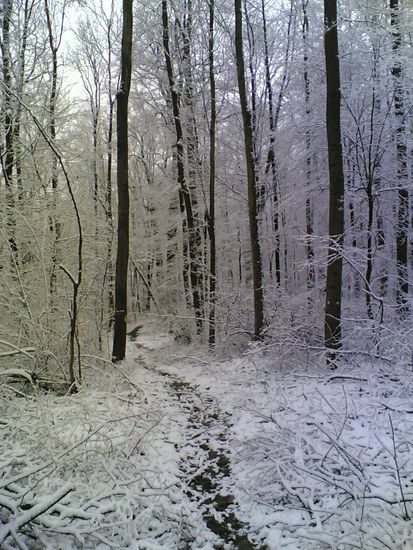 23032008