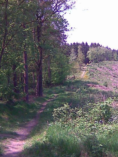 Bild000