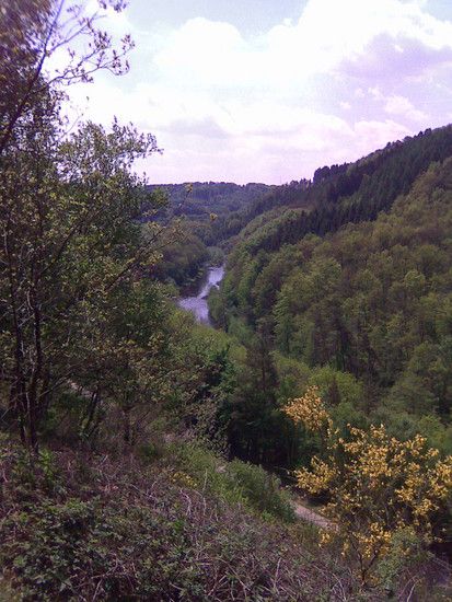 Bild004