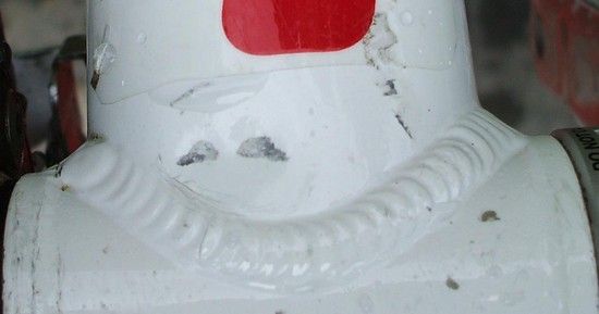 DSCF0226