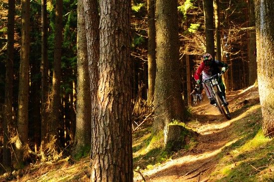 Home Trail