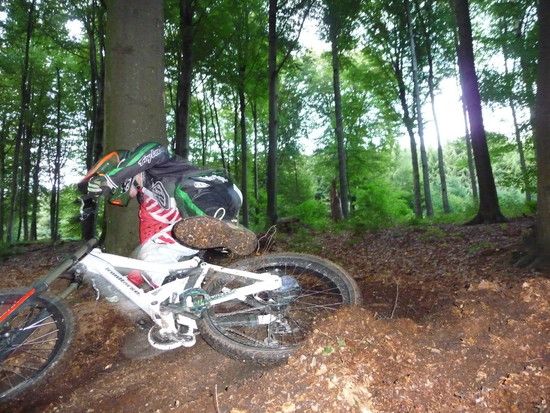 Kurve shredden 2