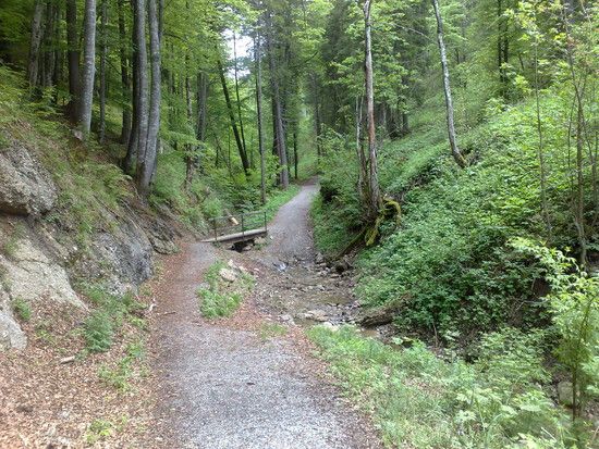 Zufahrt zum Ehrenschwanger Tal