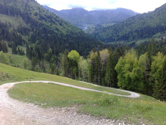 Abfahrt Rtg. Talstation Hochgratbahn