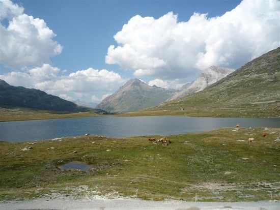 HochseemOrtlerLarge