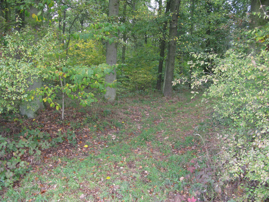 AnfangOC-RendnerTrail