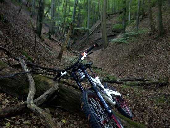 IMG-20110831-00012