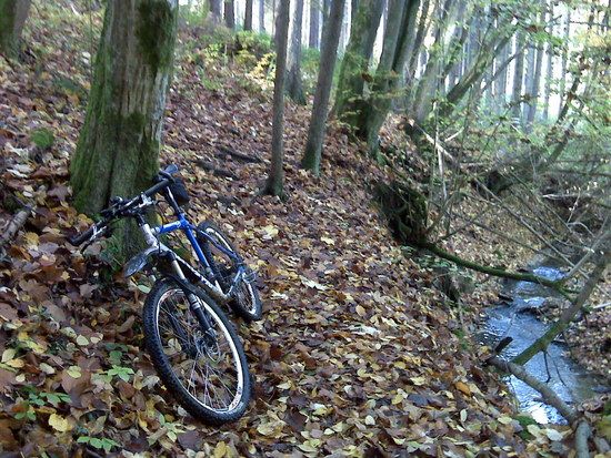 Wurzeltrail 