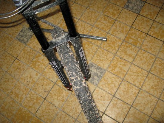 IMG 1303