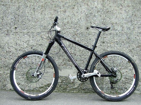 Chameleon L